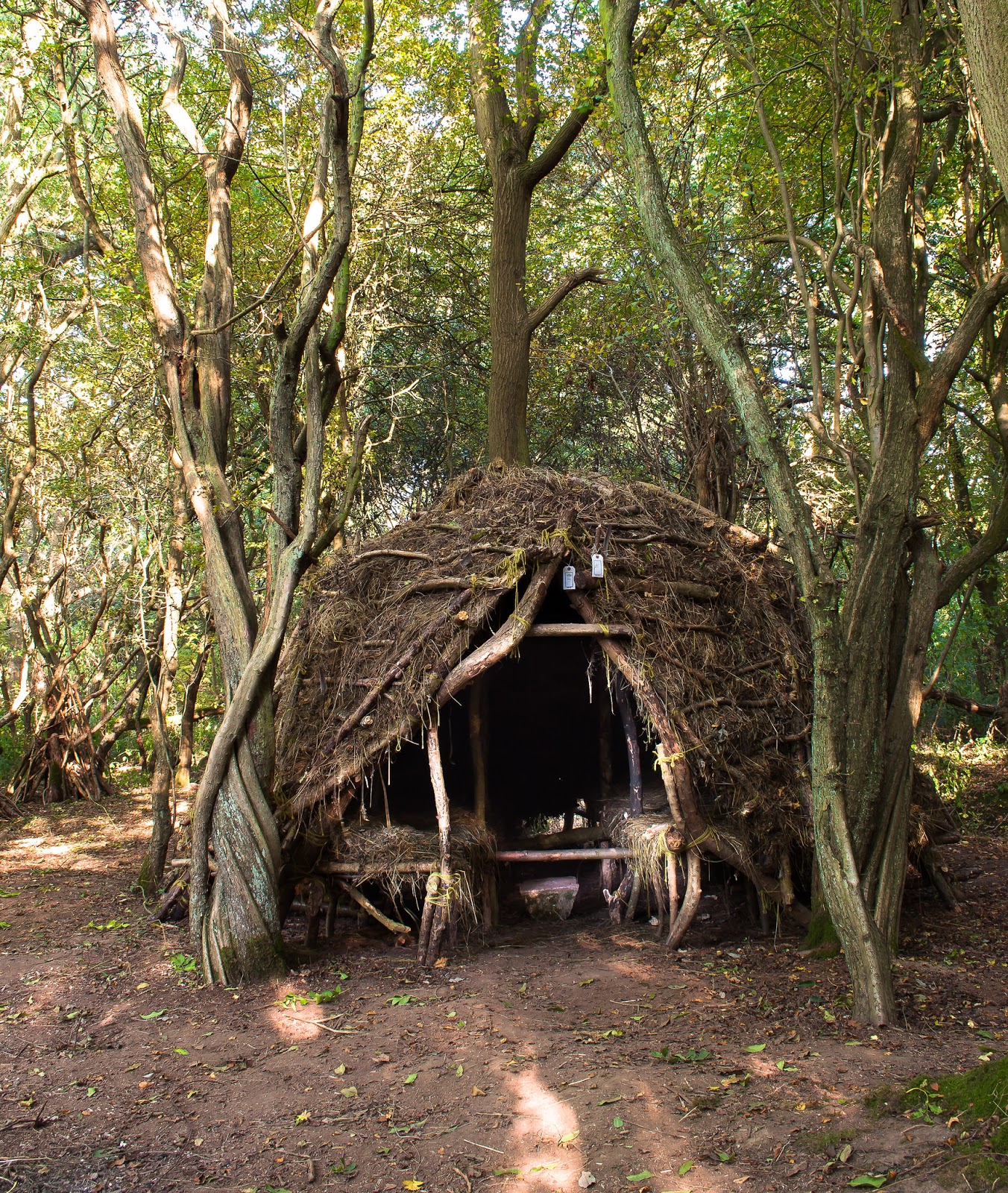 Alec Finlay bow down a bower for Duke's Wood