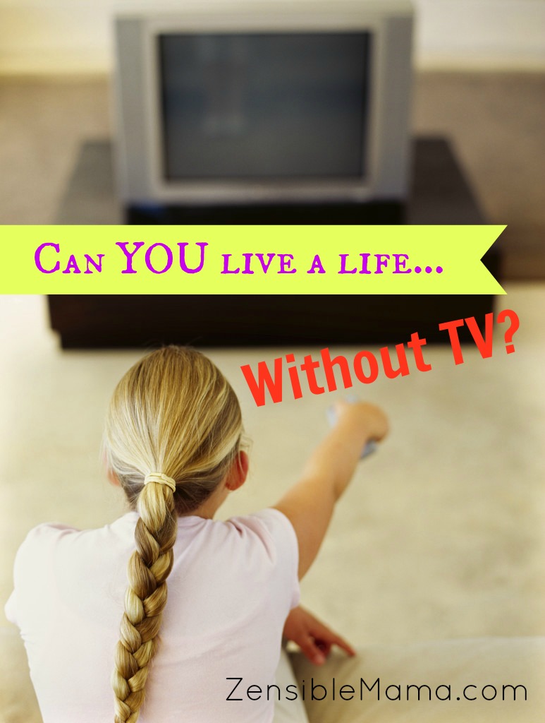Zensible Mama Can You Live A Life Without TV?