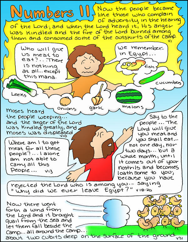 Doodle Through The Bible Numbers 11
