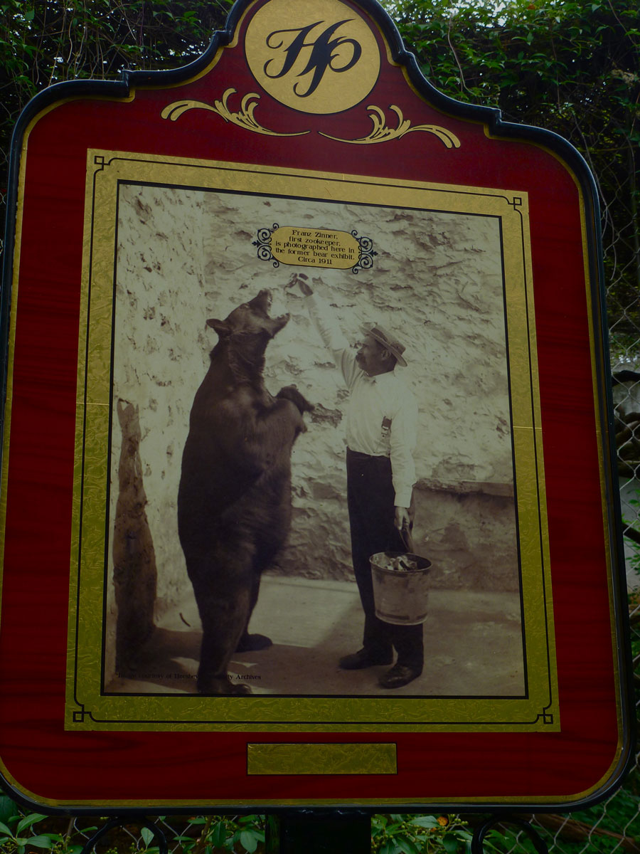 Where's Eldo? The Zoo Was a Zoo!