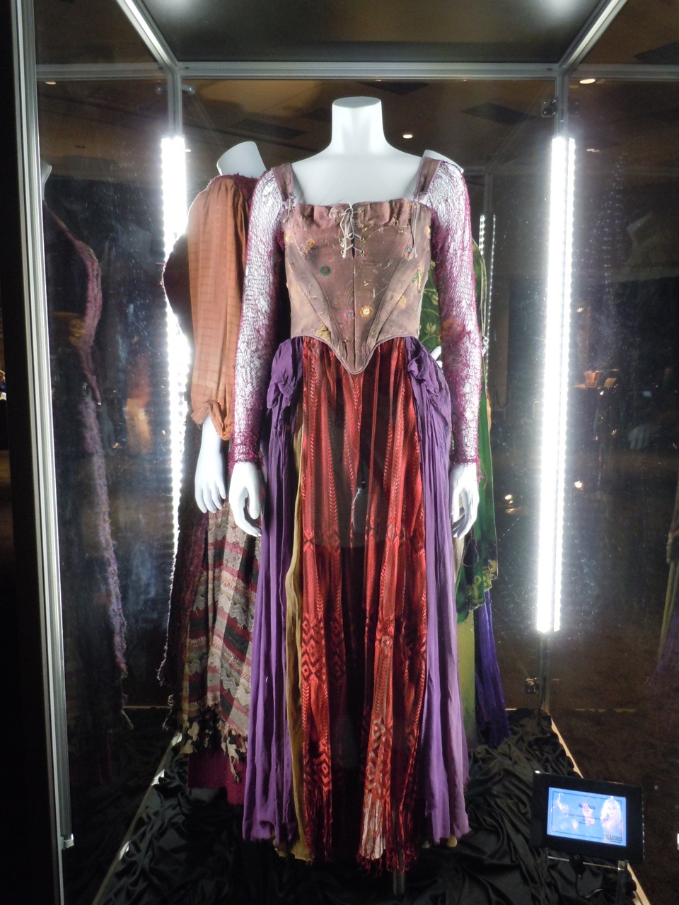 Hollywood Movie Costumes and Props: Hocus Pocus movie costumes and