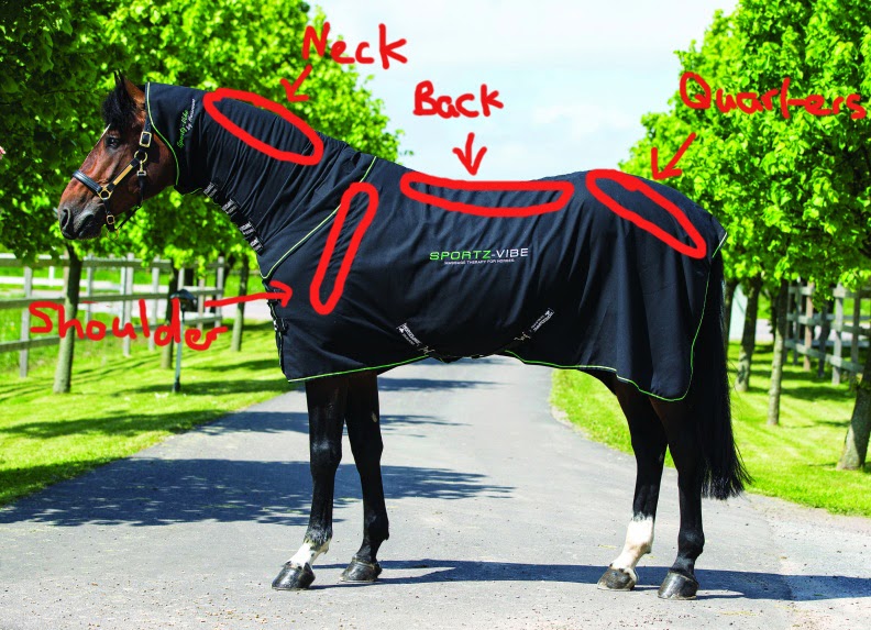 Leonard Coombe Blog Horseware Sportz Vibe Horse Massage Rug