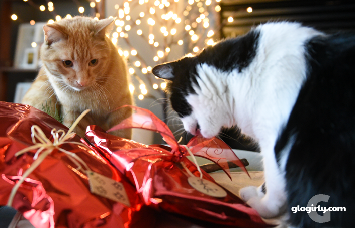 Glogirly Secret Santa Paws Is Wrapping Up Christmas