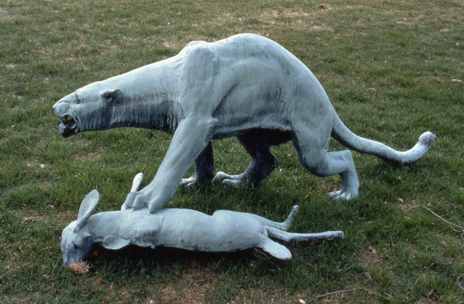 what do panthers eat