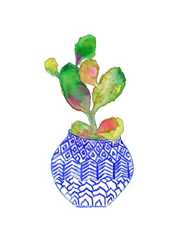 Plants and edible flowers that you can find in Mexico and how to prepare them. - Matador Spanish