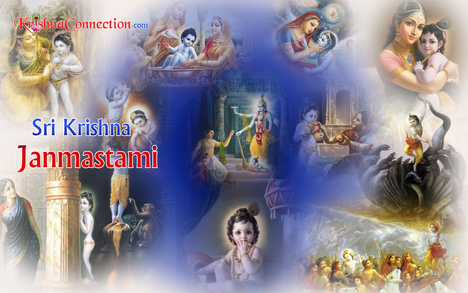 Wallpaper Gallery: Lord Krishna Wallpaper - 5