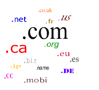 Domain Name Cultivation Method