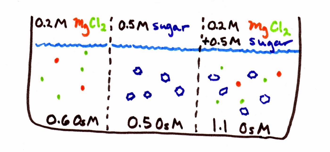 نـادي بـاسـم الـحـيـدري لـلـكـيـمـيـاء Club Basem Alhaidry For
