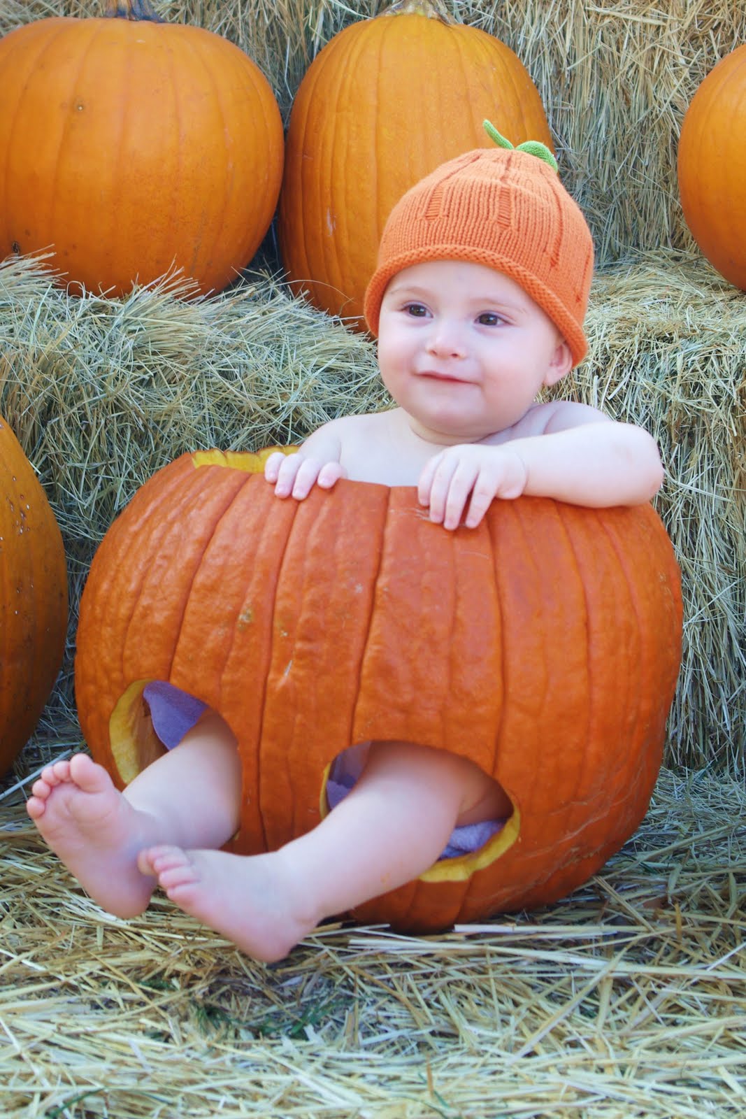 Pumpkin Ideas For 1 Year Old The Cake Boutique