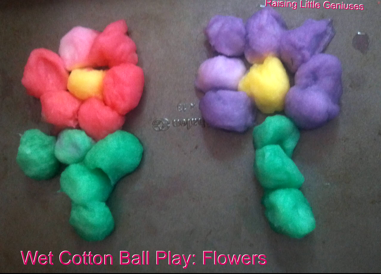 Raising Little Geniuses Wet Cotton Ball Play Flowers