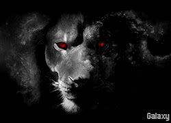 Dark Lion Wallpaper 4K