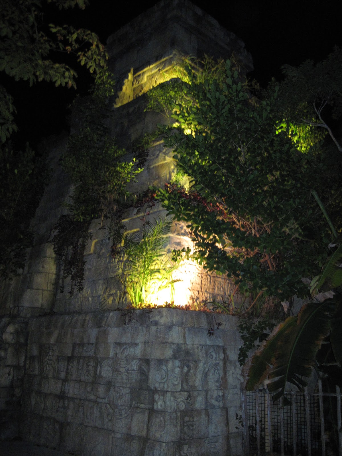 Safari Nights at the Palm Beach Zoo