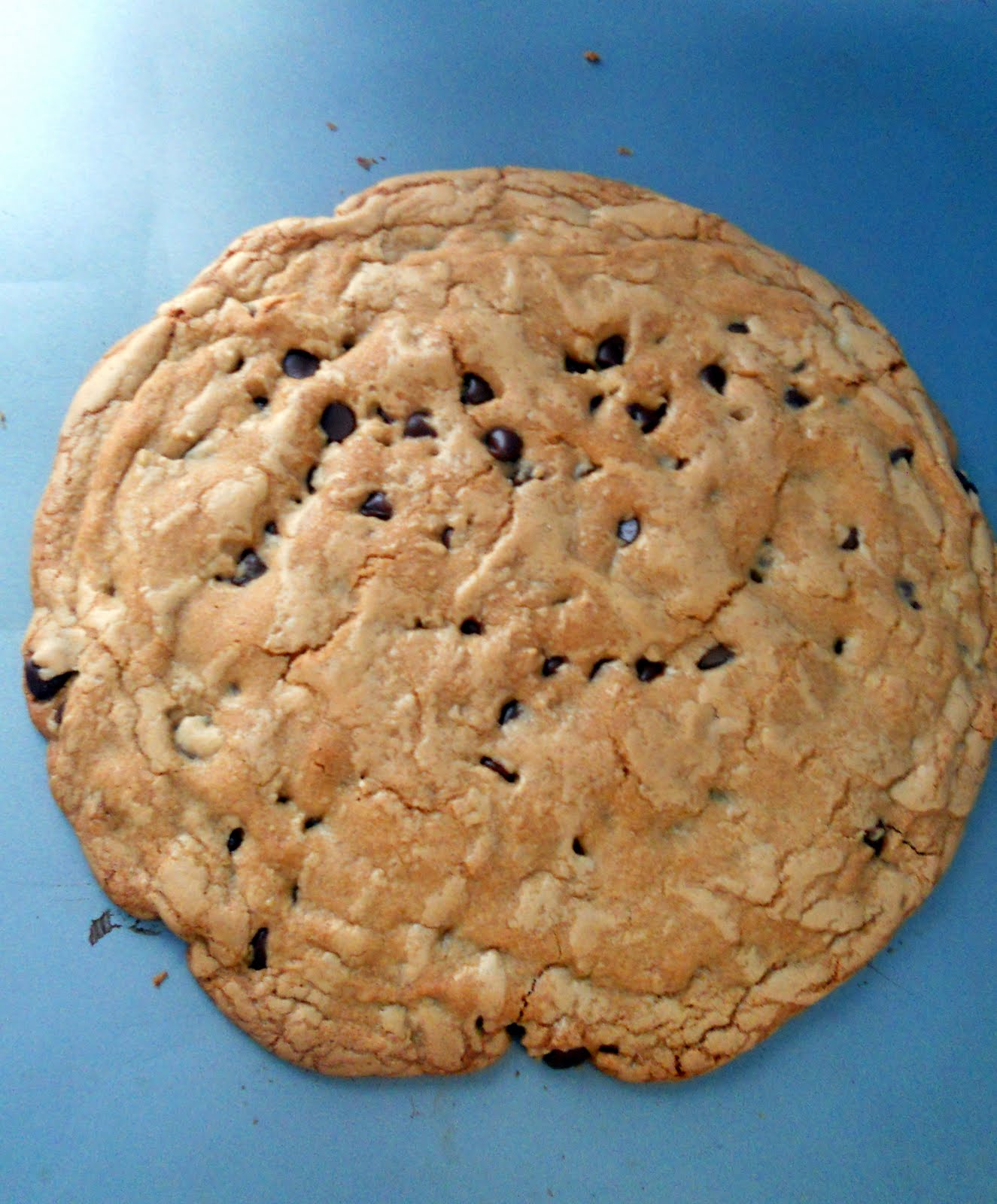 The Year of The Cookie Giant Cookie