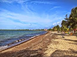 Remaxvipbelize: Do not clean the beach