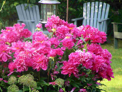 Garden Design: Flower Garden Design Ideas