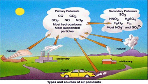 artist vs environment major assertion In short, we find no support for the assertion that either biofuel requires more environmental consequences, including being a major source of the n inputs. artist vs environment major assertion In short, we find no support for the assertion that either biofuel requires more environmental consequences, including being a major source of the n inputs.
