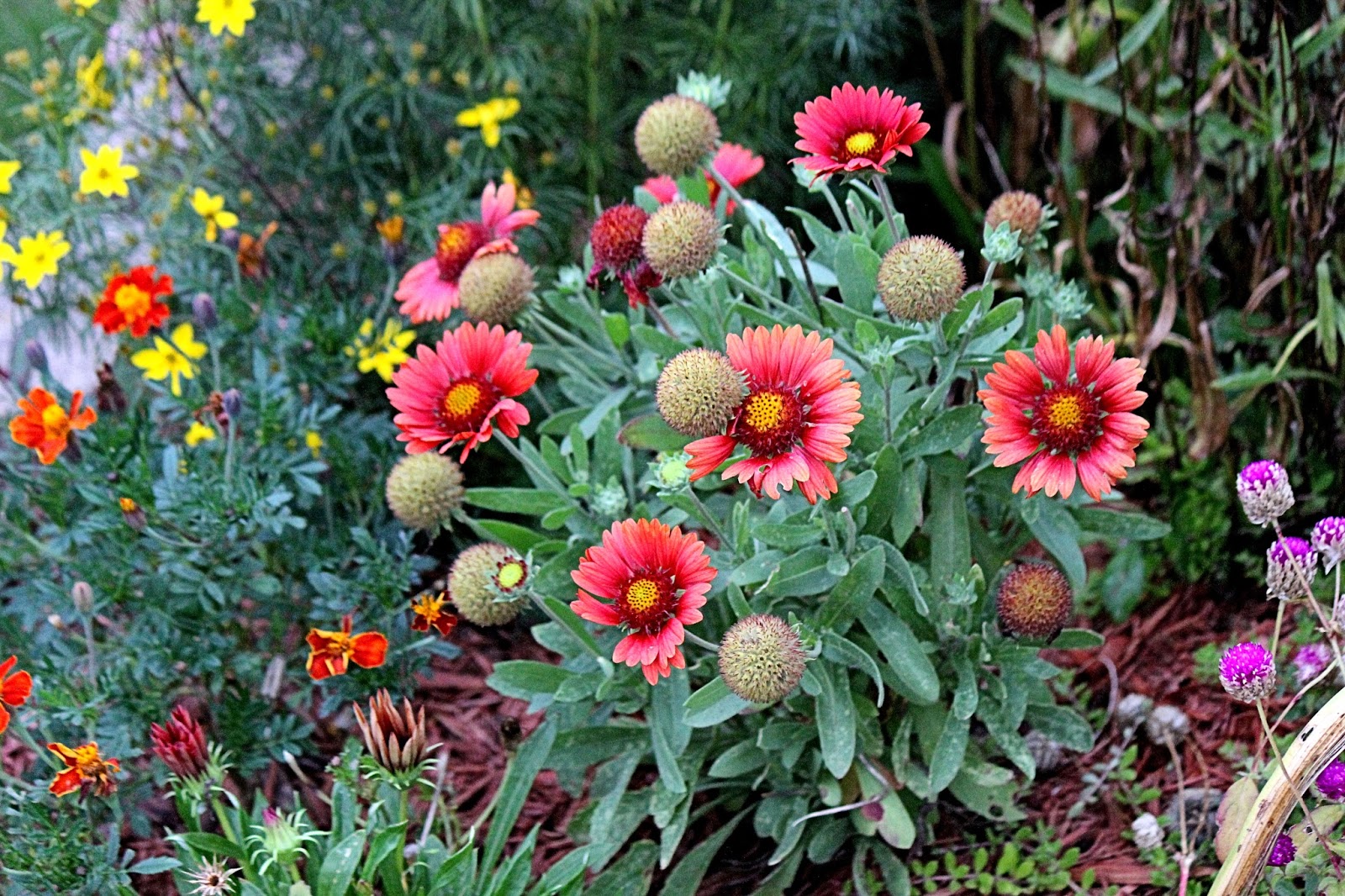 Christian Images In My Treasure Box Blanket Flower