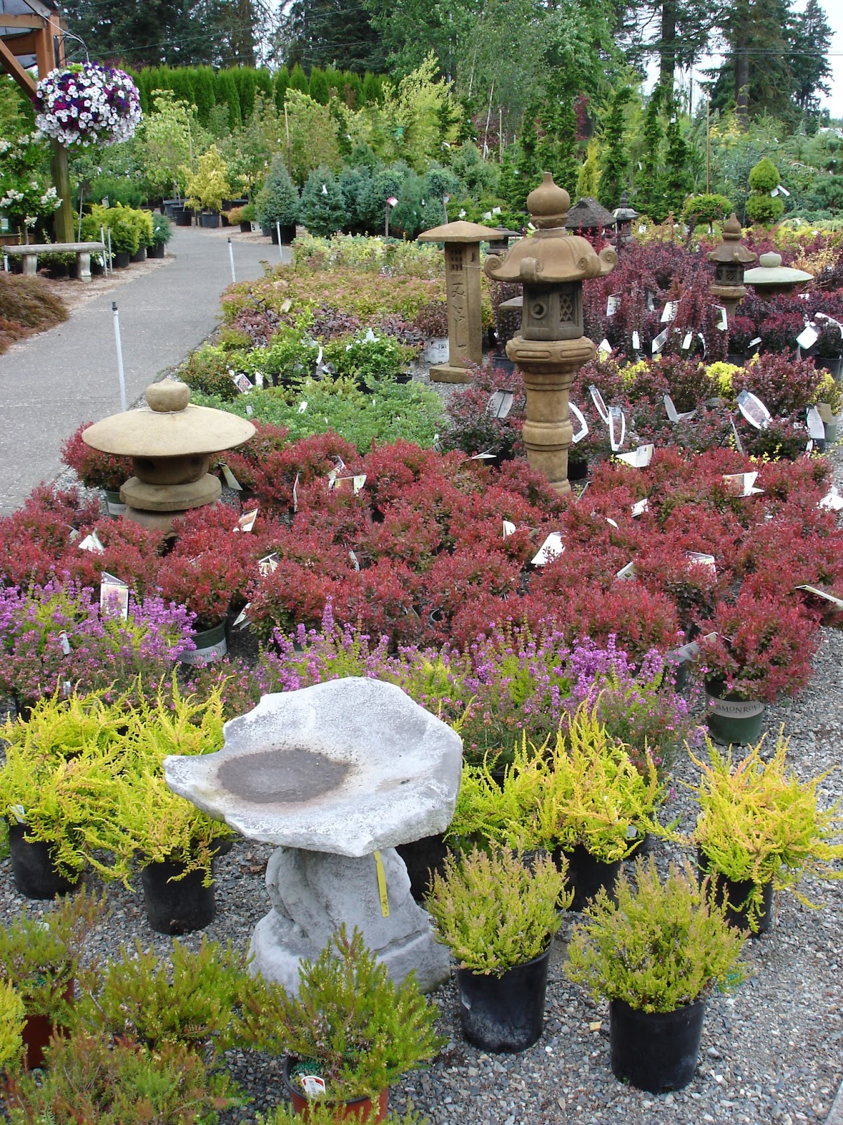 The Outlaw Gardener Vassey Nursery A family affair