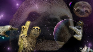 Space Sloths