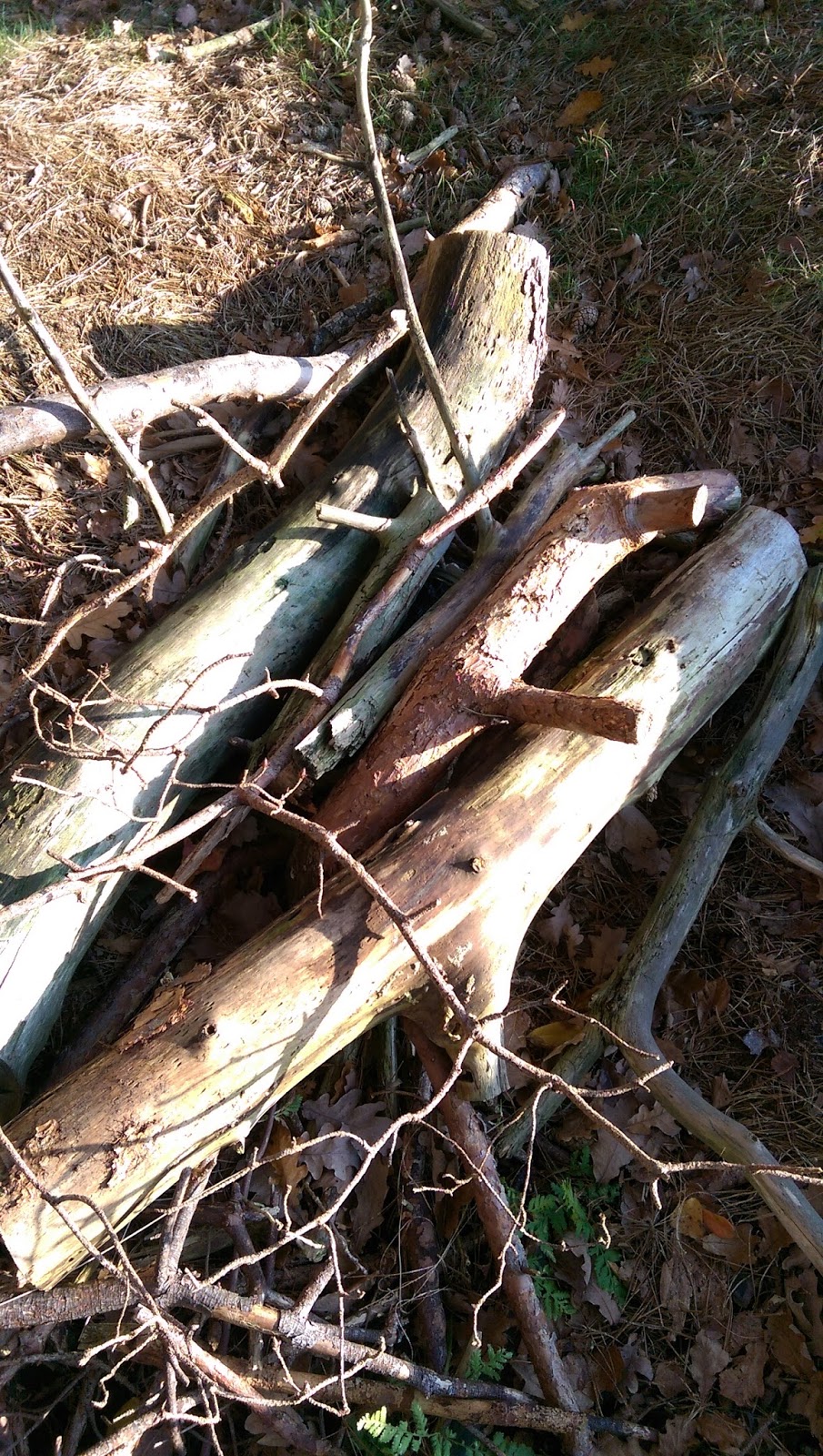 Kustenkidsunterwegs Bornholm Mit Kindern Im Herbst Teil 3 10