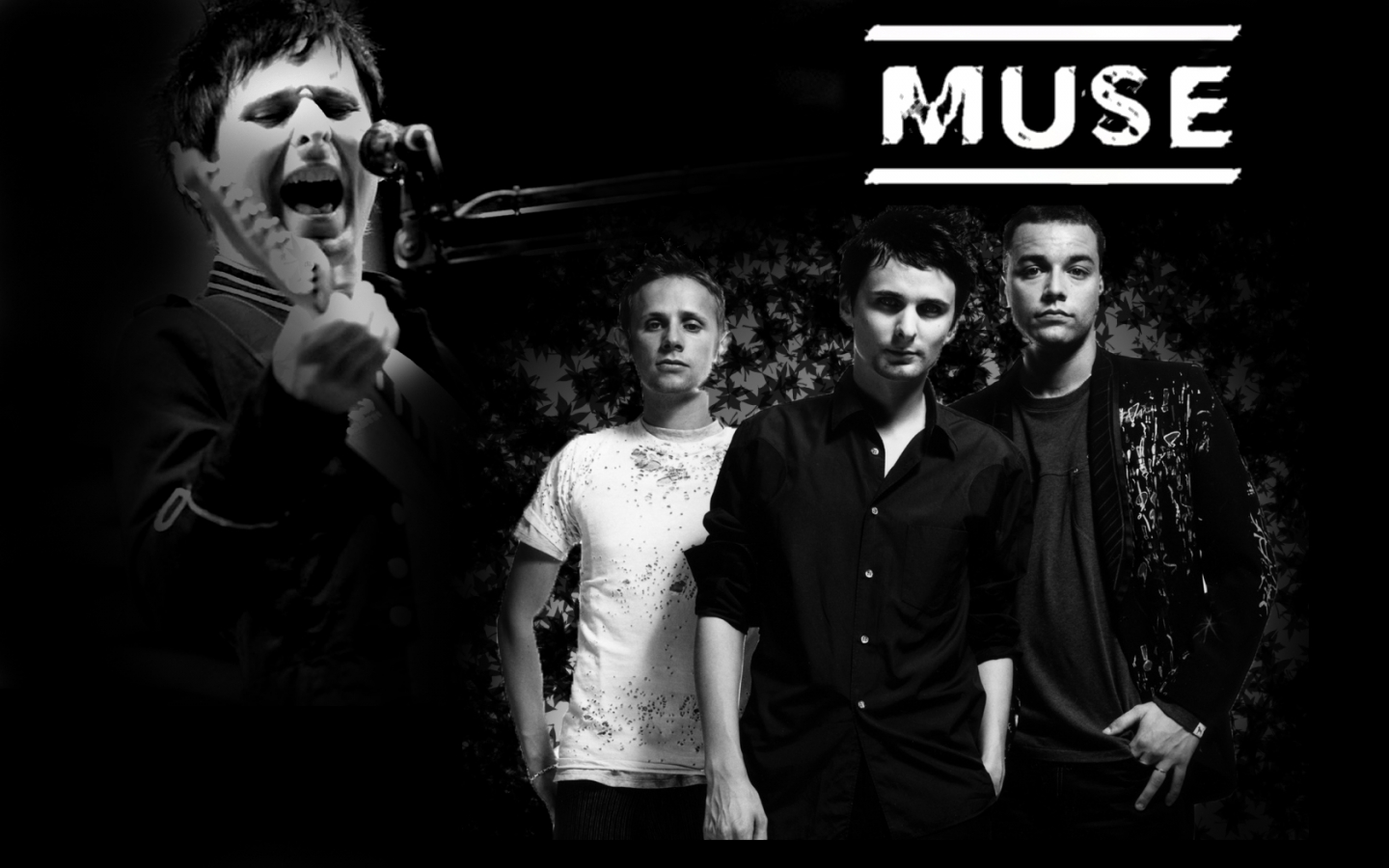 Muse Madness Lyrics MissingLyrics