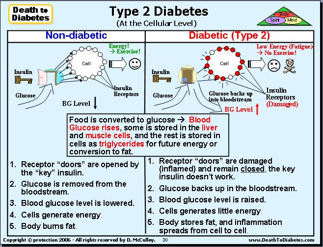 essay on type 2 diabetes