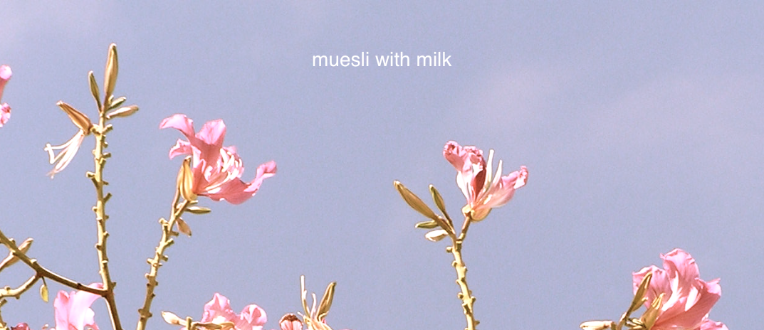 Muesli with milk