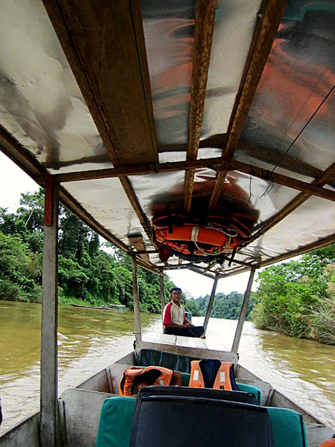 boatman on canoe in river Tahan in Taman Negara