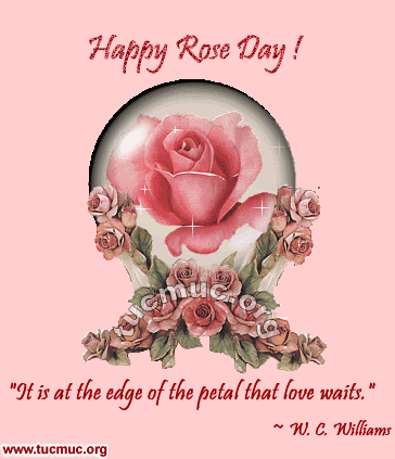 rose day msg