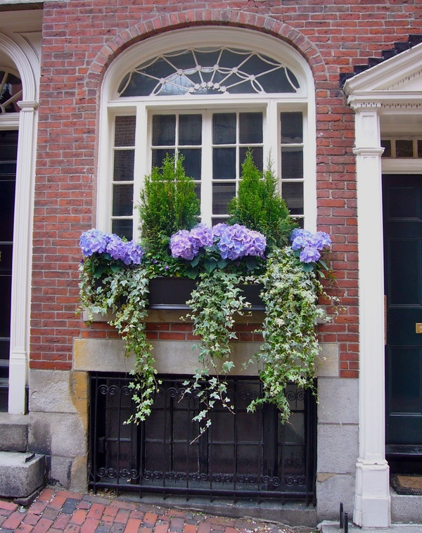 NINE + SIXTEEN Summer Window Boxes
