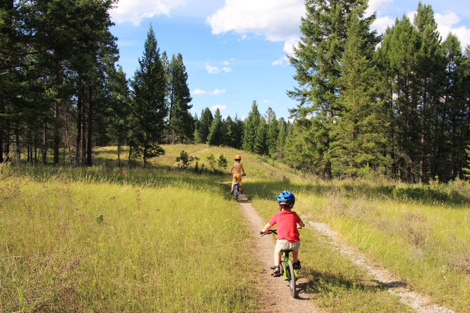 Family Adventures in the Canadian Rockies Campsite to Trail The Best