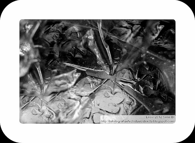 Foto Abstracta 3386 El jardín de los sinsabores - The garden of the chagrins Foto Abstracta 3386 El jardín de los sinsabores - The garden of the chagrins