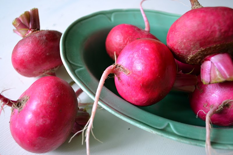 Roasted Scarlet Turnips and Baby Blues The View from Great Island