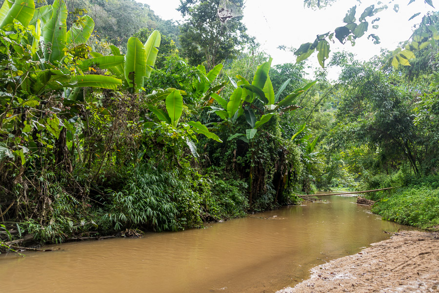 A trip to the neighborhood of the Pai