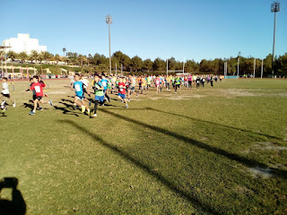 CAMPO A TRAVÉS BENJAMÍN Y ALEVÍN (14/01/2017)