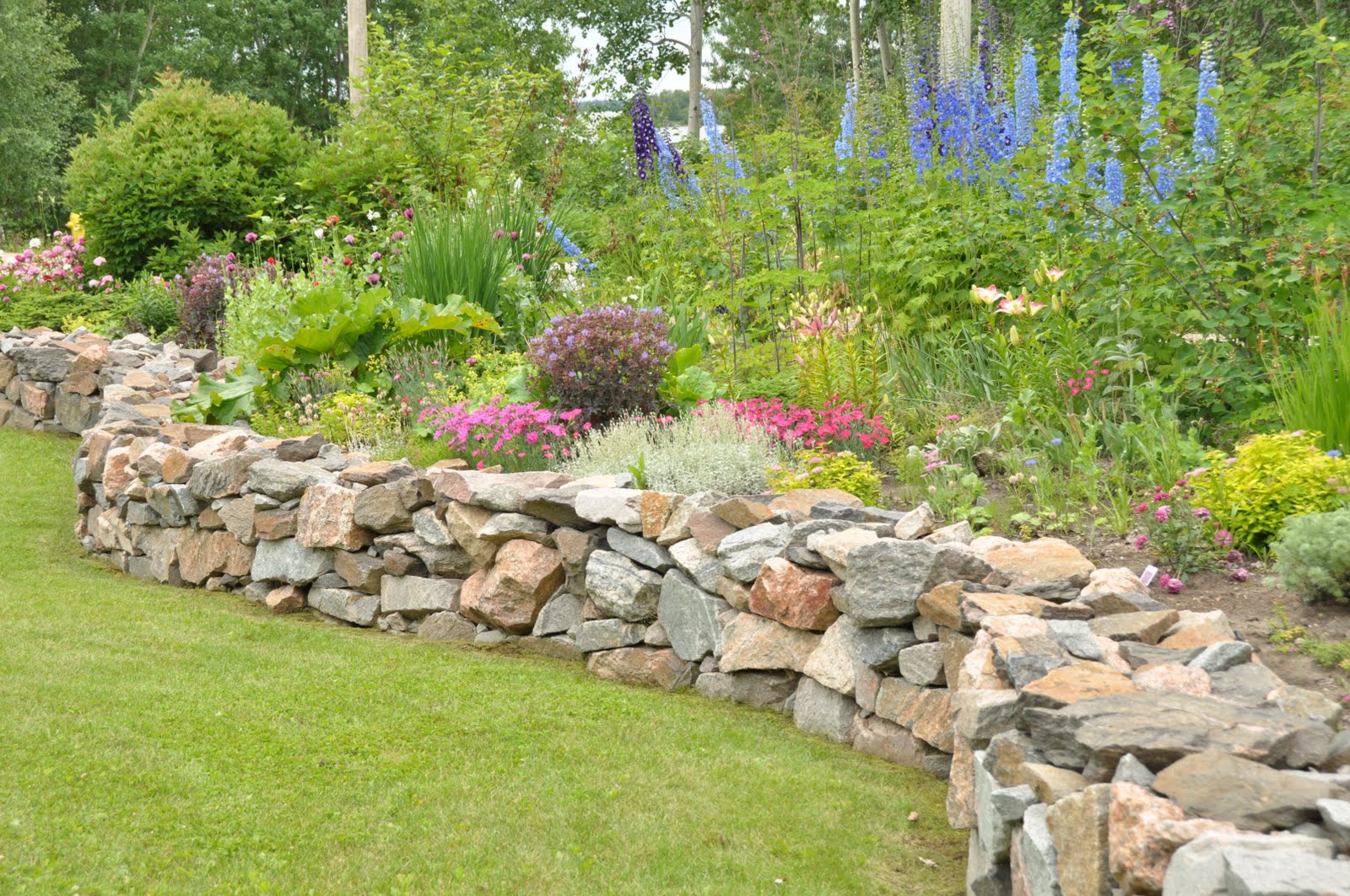 Northern Exposure Gardening Blast of Annuals, Full Out