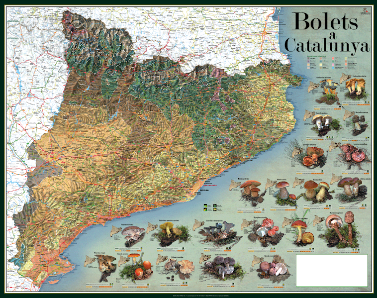Mapa Catalunya Bolets