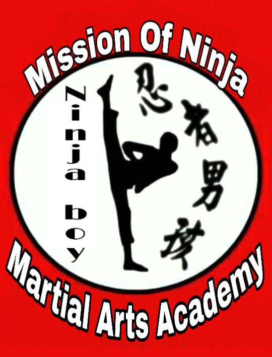 Ninja Boy Mission Of Ninja Martial Arts Academy