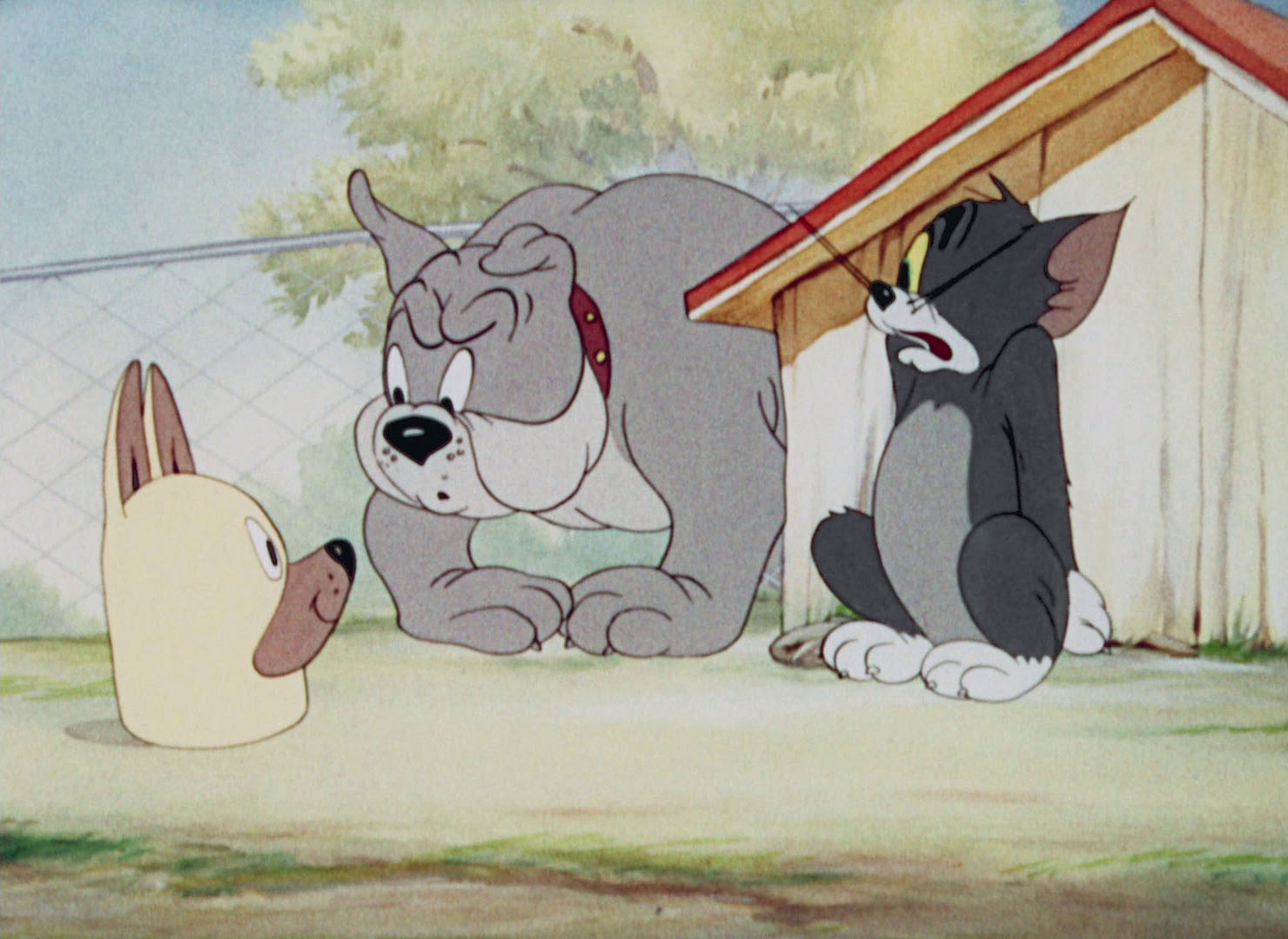 jerry dogs tom and jerry trouble jerry dogs tom and jerry trouble