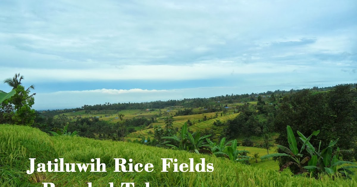 Lirik Lagu Daerah Indonesia Timur Lirik Lagu Bali Nyakan Lirik Lagu Daerah Indonesia Timur Lirik Lagu Bali Nyakan