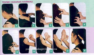 Teknik Cakar Harimau