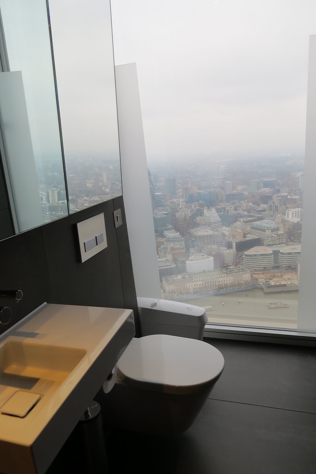 A Loo With A View