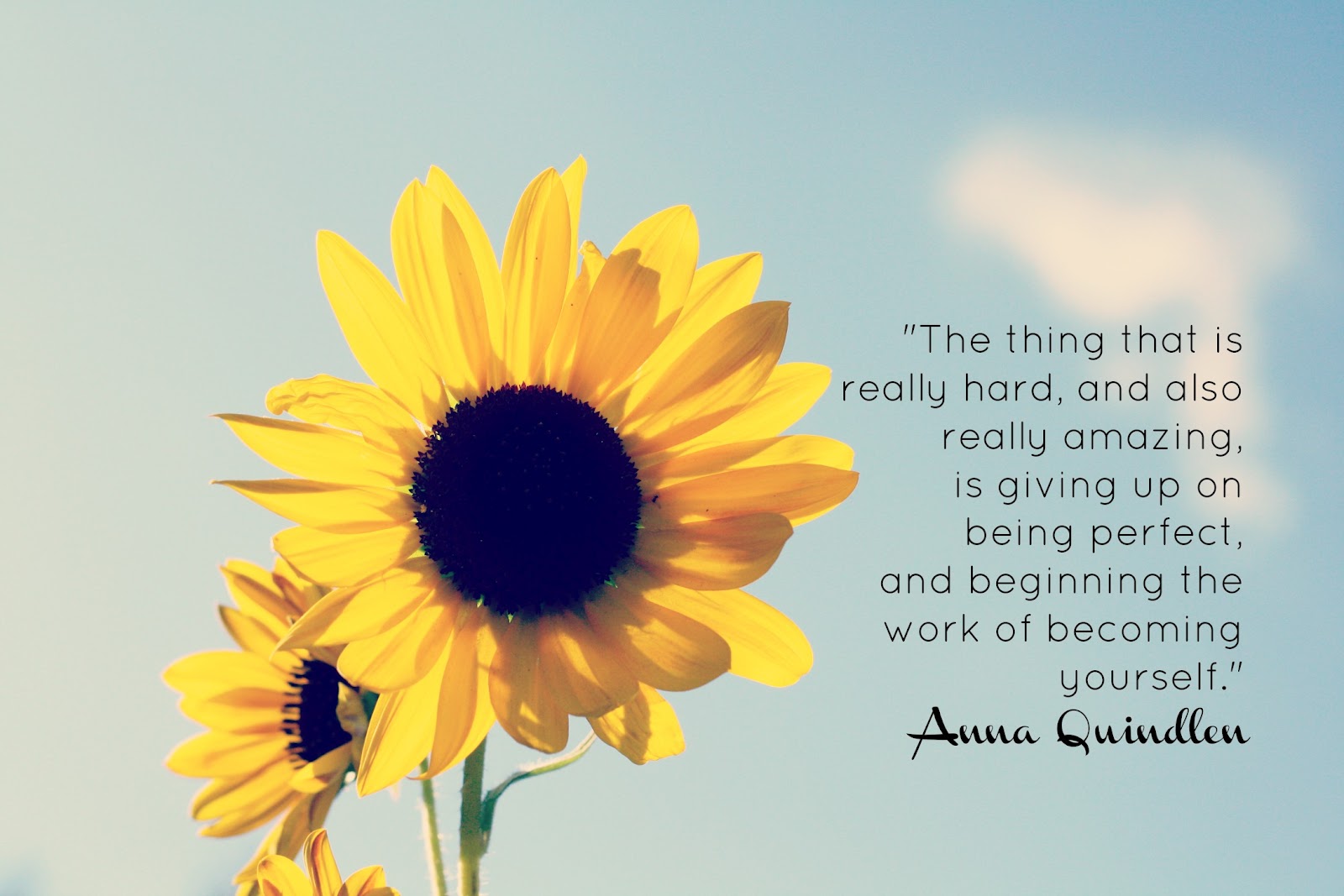 Sunflowers Smile Quotes. QuotesGram