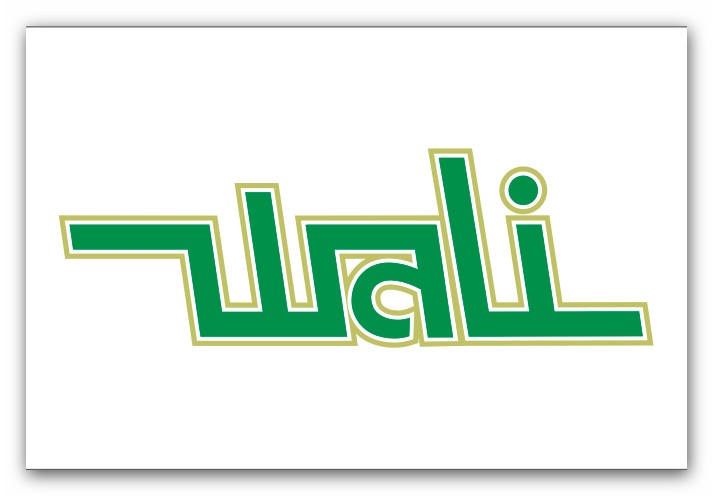 Logo Vali