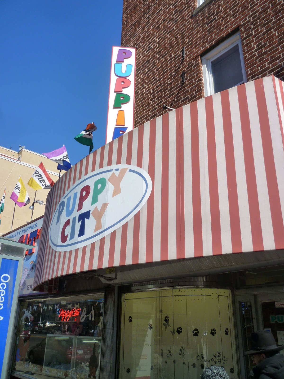 puppy city