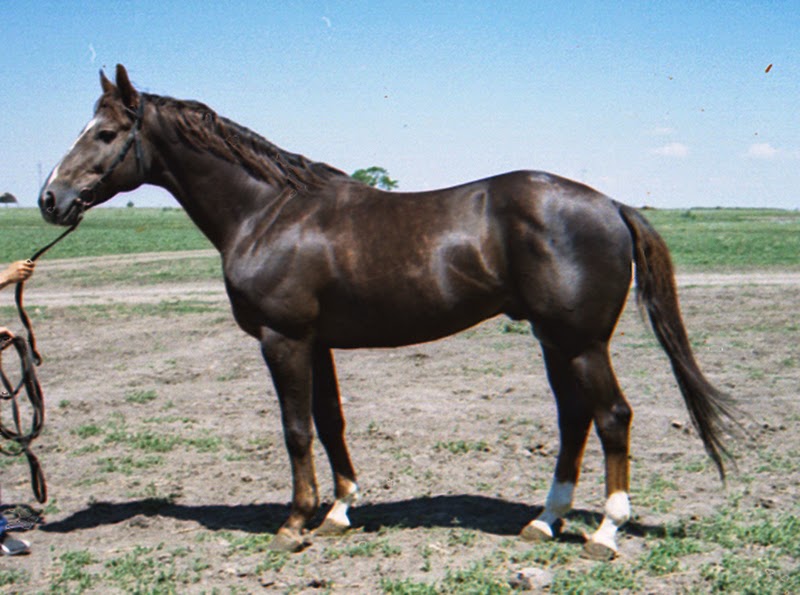 Fatariy3.jpg