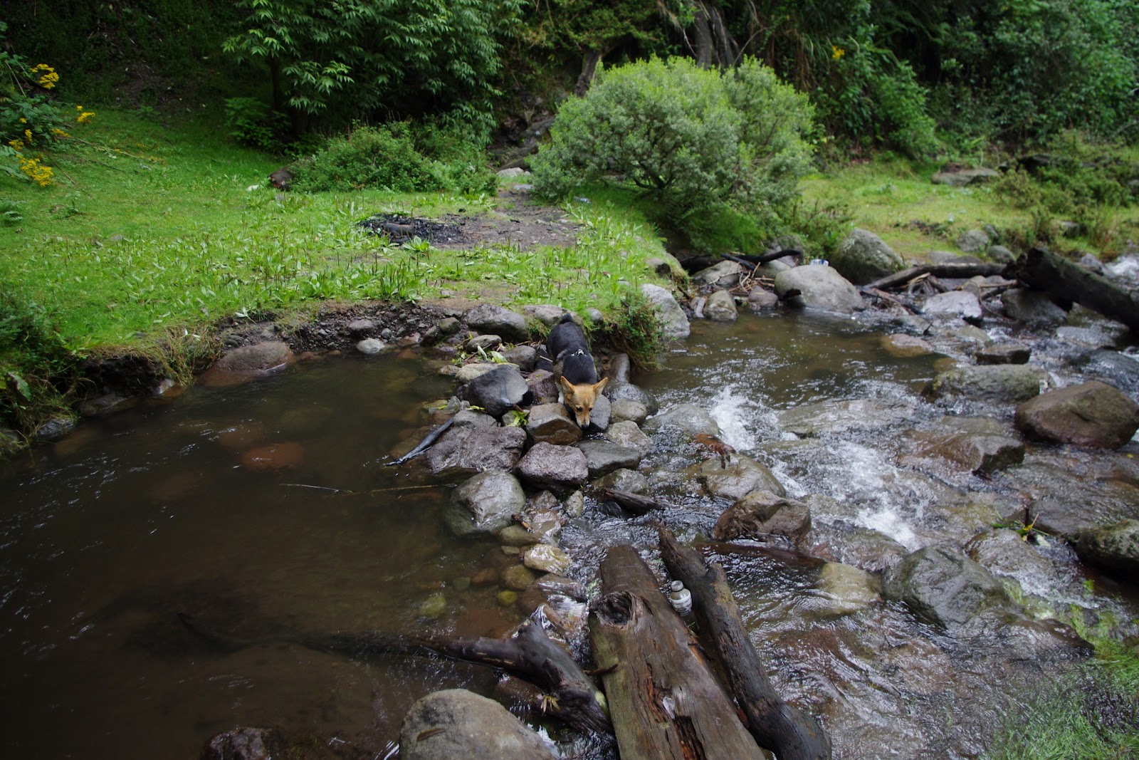 Letters from Mexico Weekend leisure in Mexico 2 Parque National