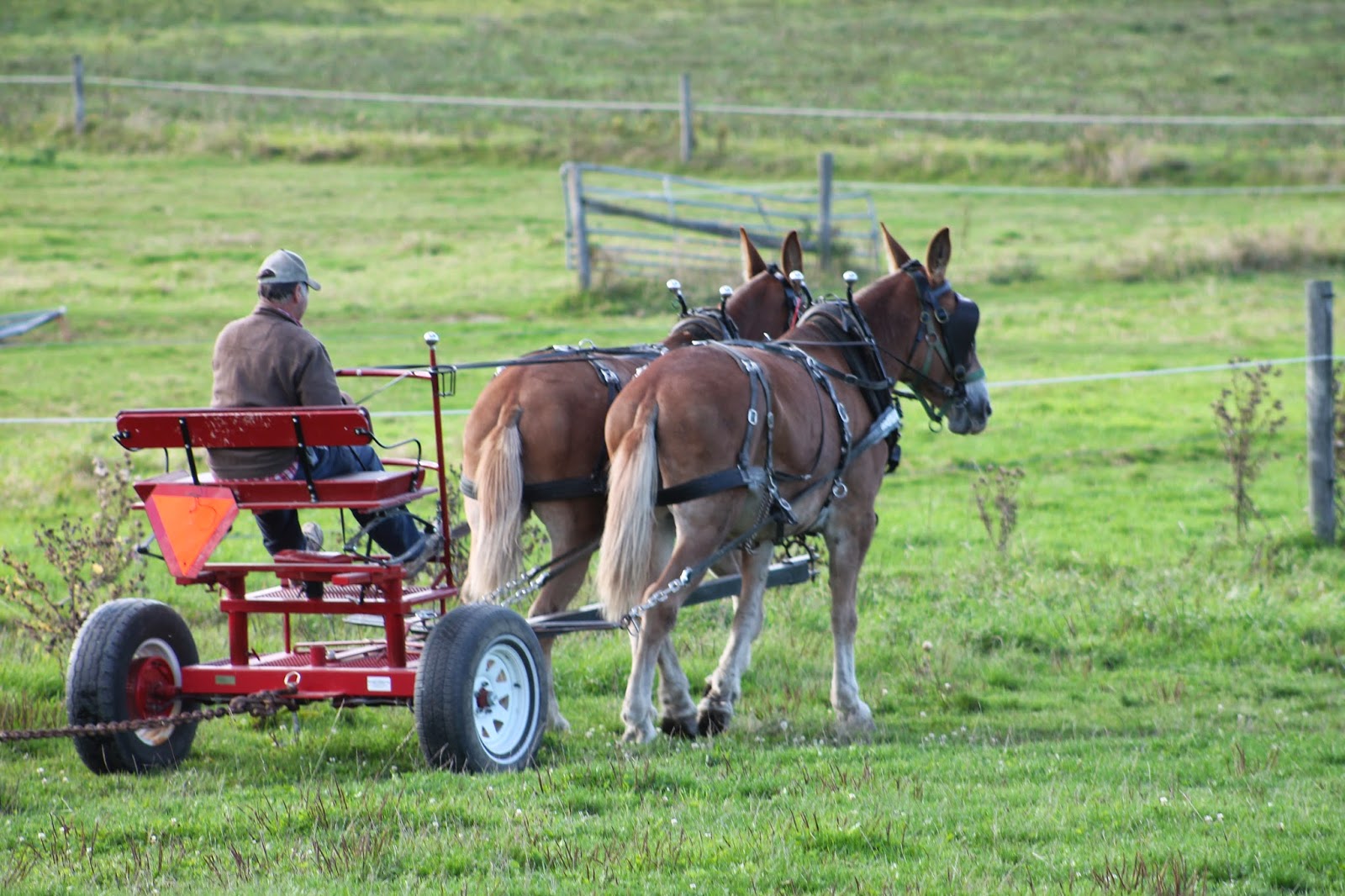 Kim Hadwen Pioneer Horse Equipment