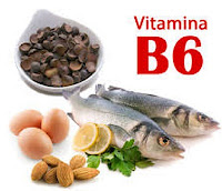 Vitamina B6 o piridoxina Vitamina B6 o piridoxina