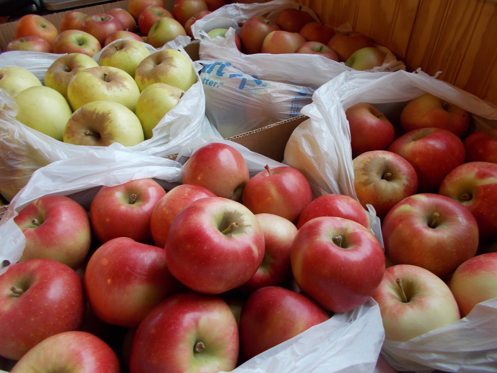 Brenda's Berries & Orchards Many Harvested Apples for Sale